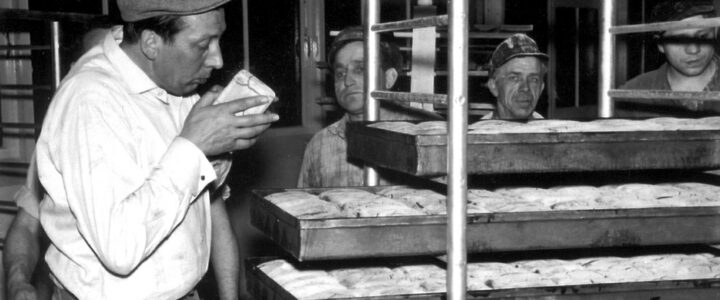 Brotfabrik Dehne Bündheim