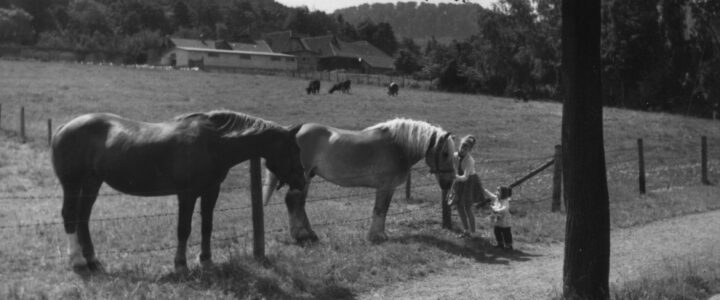Wirtschaftshof „Auf der Eych“